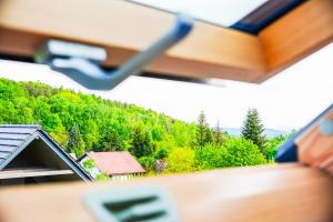 Dom obok lasu pod Krakowem