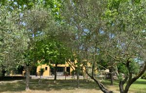 Villas VILLA NIMES BARTHEROES 3 Chambres : photos des chambres