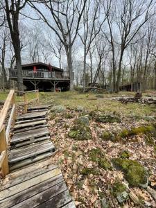 Waterfront Cottage, No Weed Swimming & Western Exposure on Buck Lake