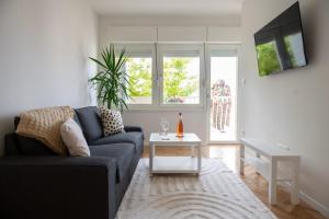 Apartment Teta Ljuba 1