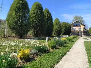 Apartmani Vukanac - Jazak