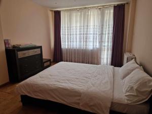 Luxury apartment. Луксозен апартамент. MUSI