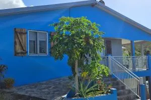 Kaz Colibri - Quartier du Fond Fleuri