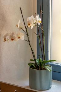 CelloRico de Sabores - Alojamento Local