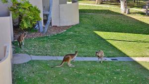 Riverview Holiday Apartment 90 - Kalbarri WA