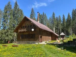 Cabana Pastravarul - Rókoteàs