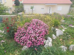 Apartments with parking space Barbat, Rab - 22863