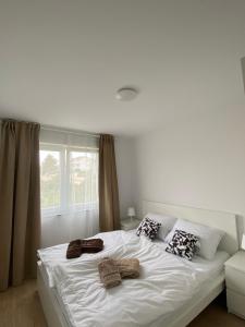 Apartments with parking space Barbat, Rab - 22863