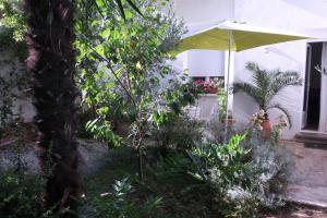 Sejours chez l'habitant Toulousaine arboree - parking public : photos des chambres