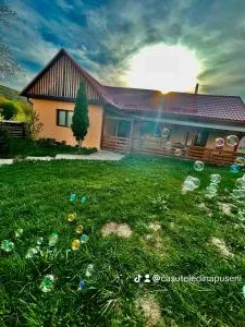 Căsuța cu livadă - Dretea