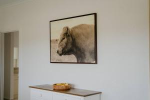 Adelaide Hills Country Paradise