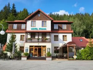 普拉哈酒店 - 波兰尼卡-兹德鲁伊