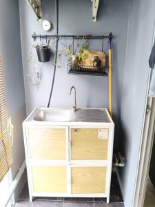 Green home in the big City