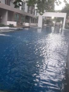 Green home in the big City