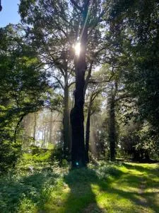 Domki pod Dębami - 下布热格