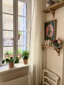 à St Rémy Petite maison au coeur du village