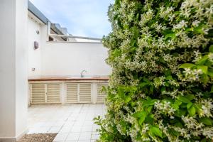 Villa Buganvillea near the beach img2