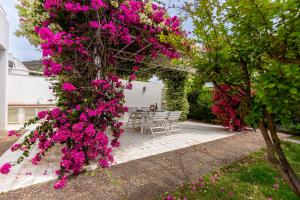 Villa Buganvillea near the beach img3