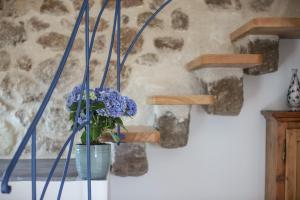 B&B Domos Mi & Ro img64