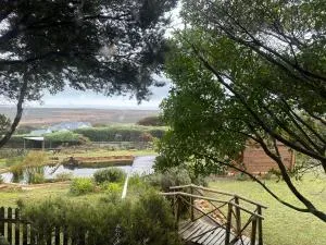 Alpaca Retreat in Crofter's Valley - Noordhoek