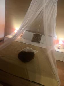 La soffitta di Megan