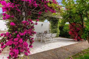 Villa Buganvillea near the beach img41