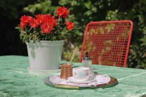 Old Town Green Oasis House