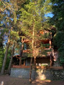 A fák ölelése vendégház