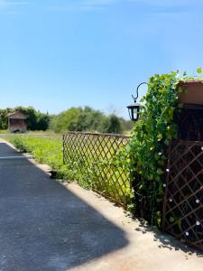 Jacques Boutique Suite