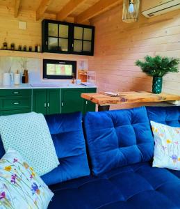 Wood Land Liswarta domki w drzewach