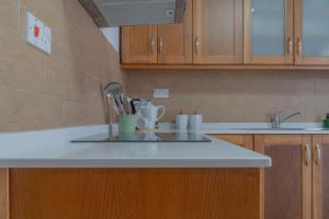 Spacious Apartment in Gzira