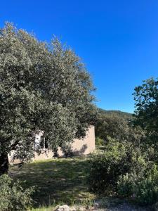 Villas Villa Rose : photos des chambres