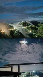 Family' sweet - Kūfrī