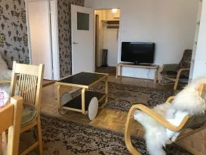 Savonniemen loma-asunto - Kellarpelto