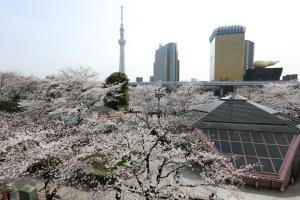 Dormy Inn EXPRESS Asakusa