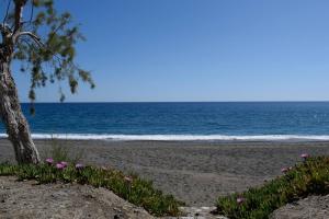 Sosos Apartments -Vacations Next to the Beach