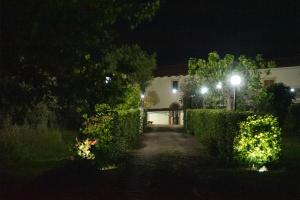 Sentiero Degli Ulivi Mascia