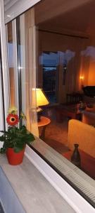 COUNTRY HOUSE IN OLIVE GROVE (2 ) - GERAKINI