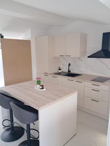 Studio Apartman Nega 2