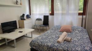 Magnifique Studio du Chateau VLP