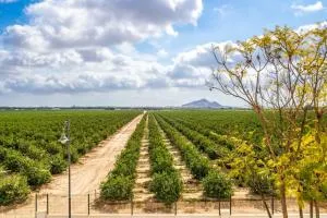 Casa Silaure- Azure Property Rentals - Los Tomases