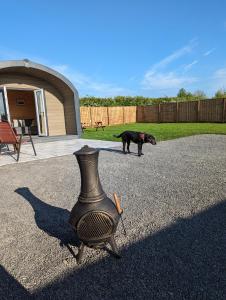 My Happy Hounds Glamping
