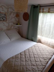 Campings Mobil-home 6 personnes : photos des chambres