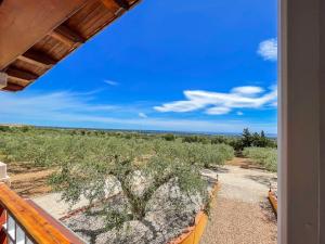 Rustico degli Ulivi img6