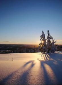 Idre himmelfjäll ski inski out BastuSauna Skidor Natur Vandring Fiske