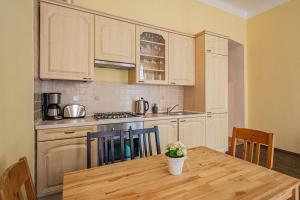 Spacious oasis in Pragues Heart