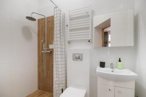 Cozy studio near Old Town