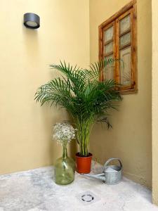 El Rincón de María Vicenta