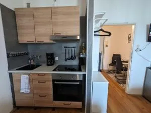 Zentrales Studio-Apartment in Linz, Arbeiter-hit - Sankt Florian bei Linz