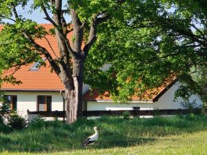 Mazurskie Siedlisko Zawady